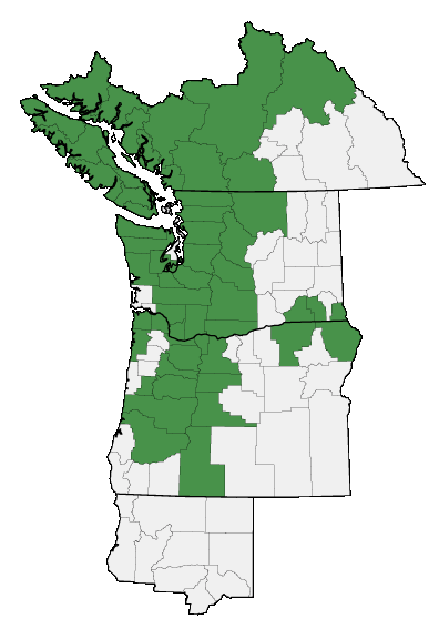 Map of where plant is found