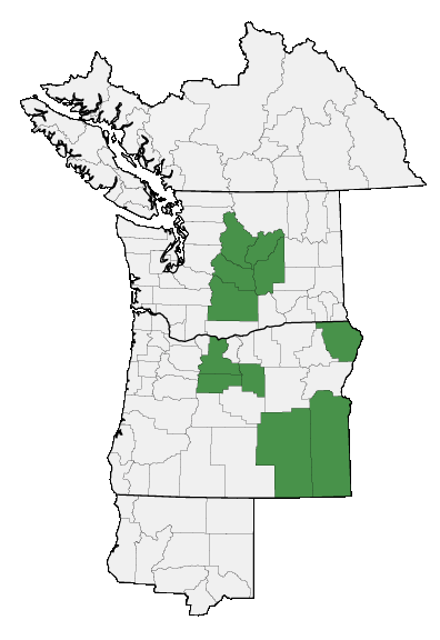 Map of where plant is found