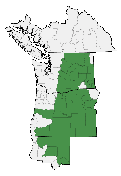 Map of where plant is found