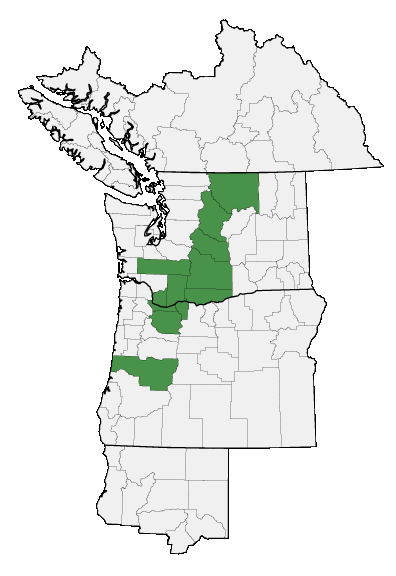 Map of where plant is found