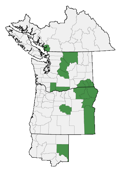 Map of where plant is found