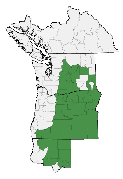 Map of where plant is found