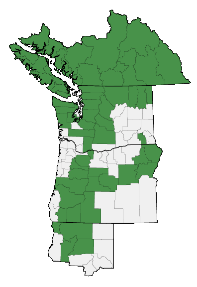 Map of where plant is found