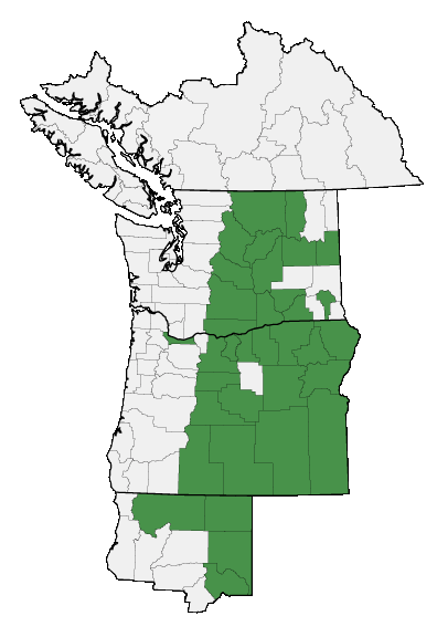 Map of where plant is found