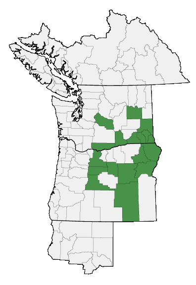 Map of where plant is found