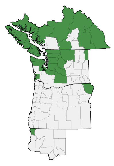 Map of where plant is found