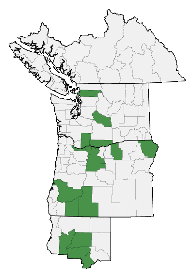 Map of where plant is found