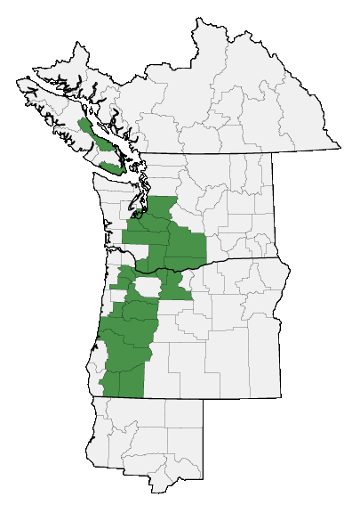 Map of where plant is found