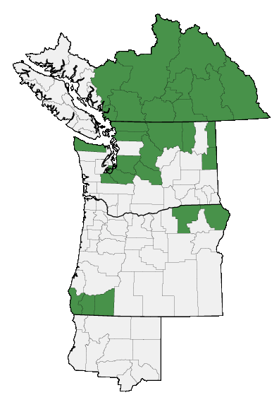 Map of where plant is found