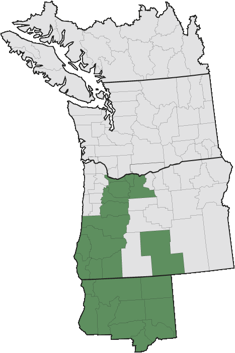 Map of where plant is found