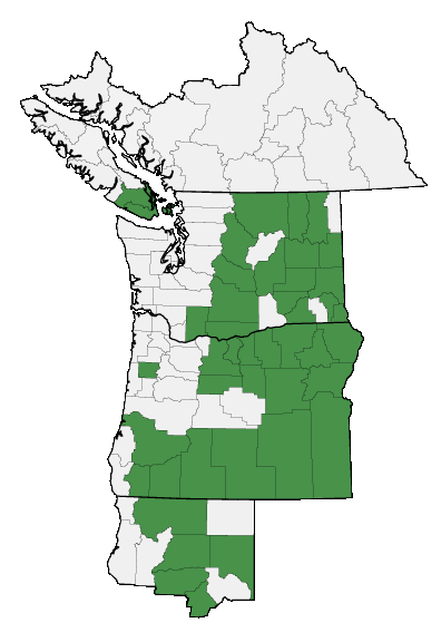 Map of where plant is found