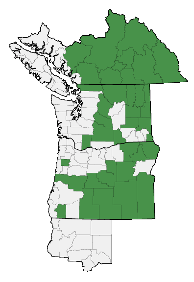 Map of where plant is found