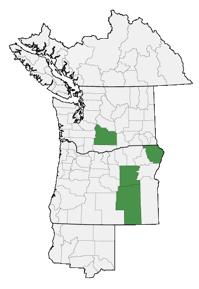 Map of where plant is found