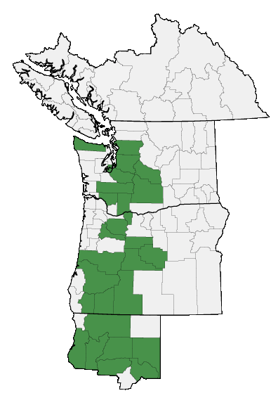 Map of where plant is found