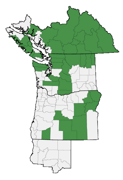 Map of where plant is found