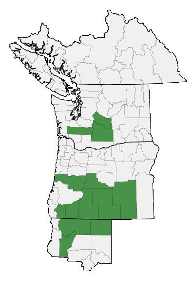 Map of where plant is found