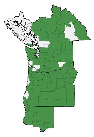 Map of where plant is found