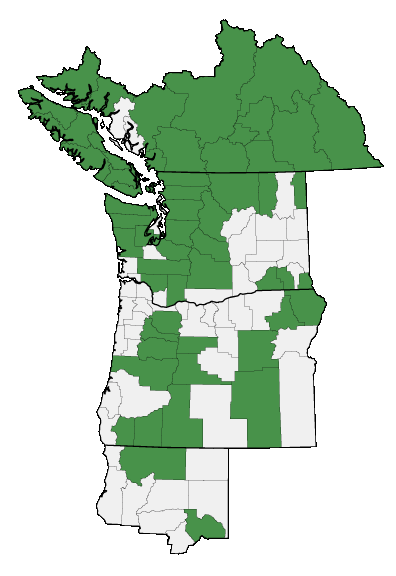 Map of where plant is found