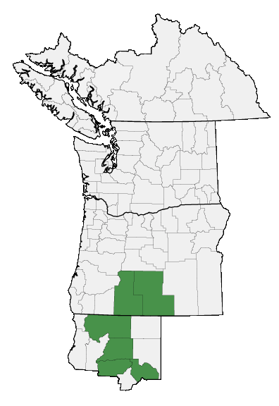 Map of where plant is found