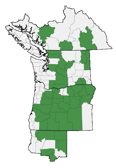 Map of where plant is found