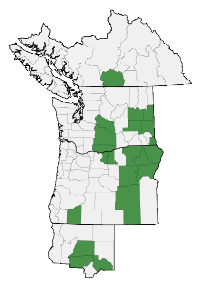 Map of where plant is found