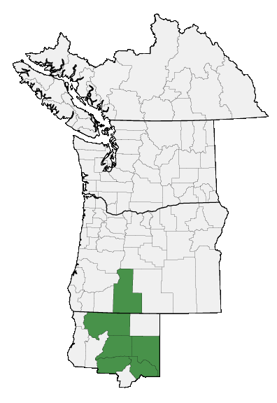 Map of where plant is found