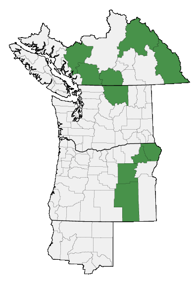 Map of where plant is found