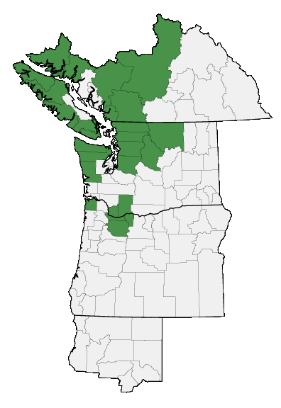 Map of where plant is found