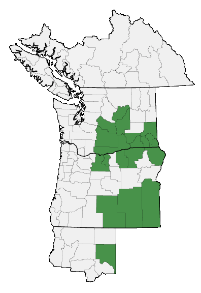 Map of where plant is found