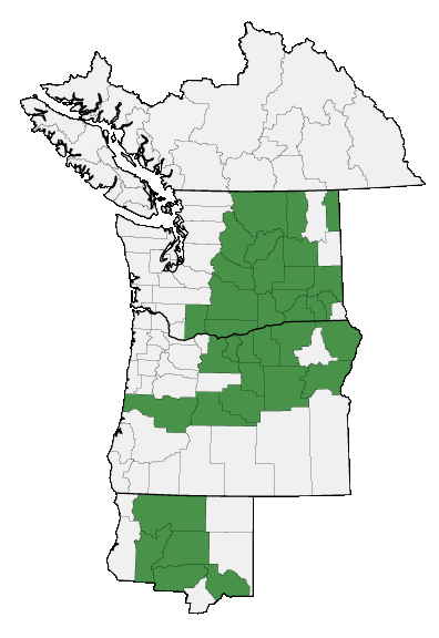 Map of where plant is found