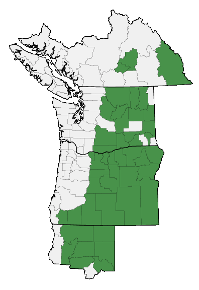 Map of where plant is found