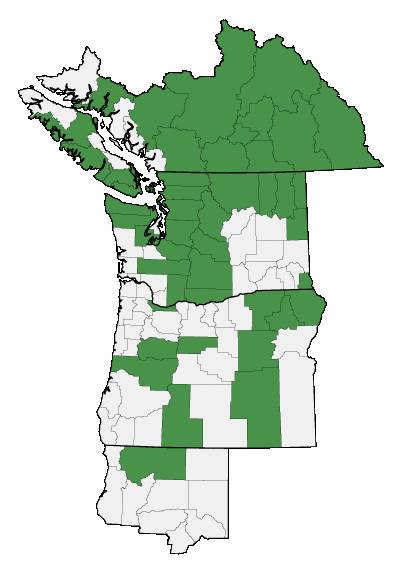 Map of where plant is found
