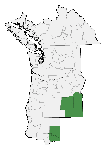 Map of where plant is found