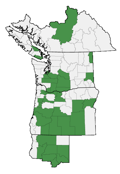 Map of where plant is found