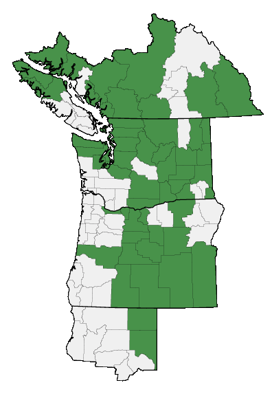 Map of where plant is found