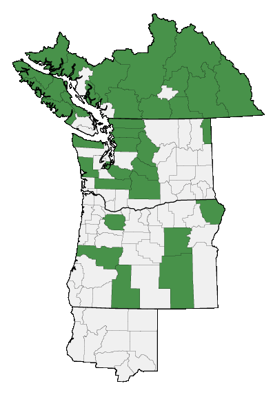 Map of where plant is found