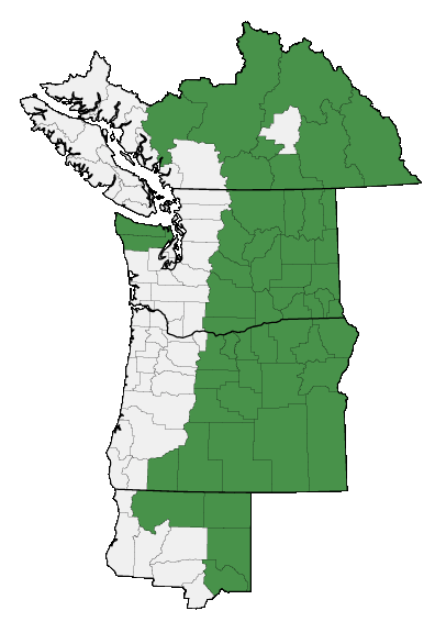 Map of where plant is found