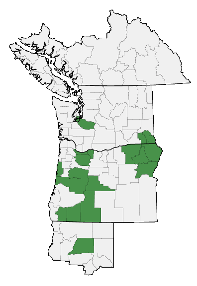 Map of where plant is found