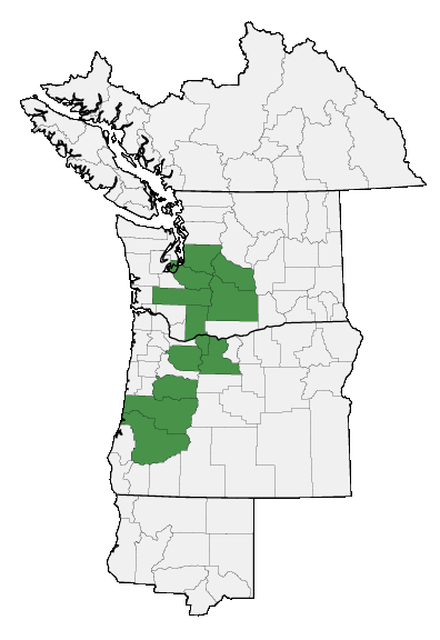 Map of where plant is found