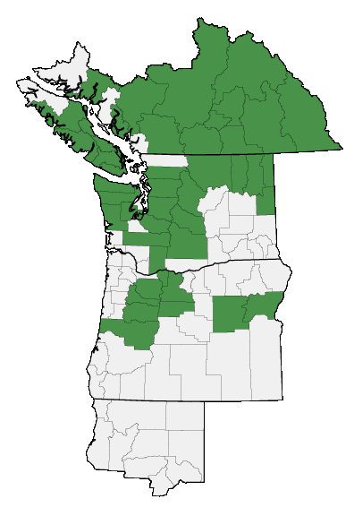 Map of where plant is found