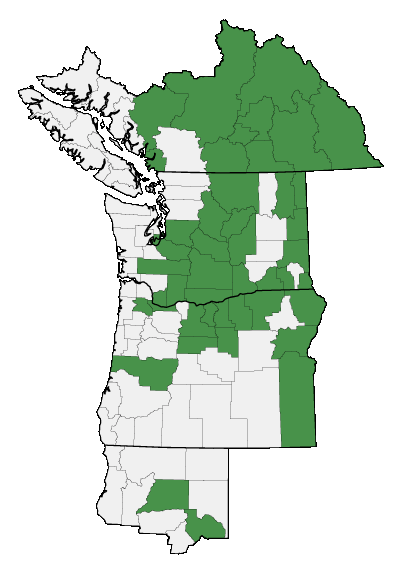 Map of where plant is found