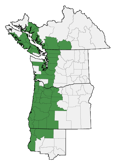 Map of where plant is found