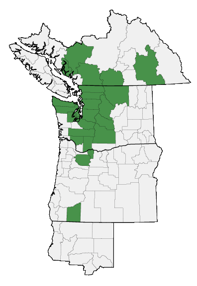 Map of where plant is found