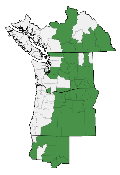 Map of where plant is found