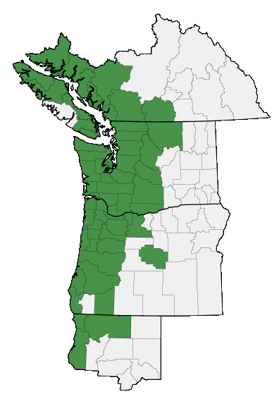 Map of where plant is found