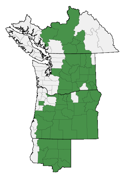 Map of where plant is found