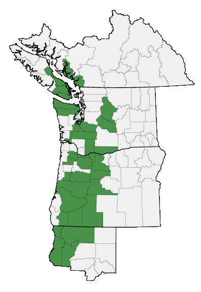 Map of where plant is found