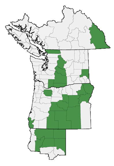 Map of where plant is found