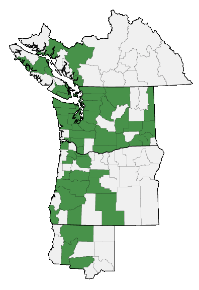 Map of where plant is found