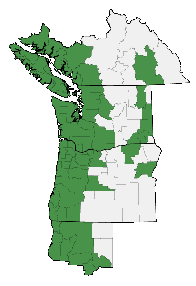 Map of where plant is found